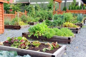 Read more about the article Sow it, Grow it, Show it: A Personalized Vegetable Garden for Every Property